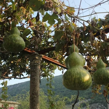 Seaside House Mokosica, Dubrovnik - 8584 * Мокошица