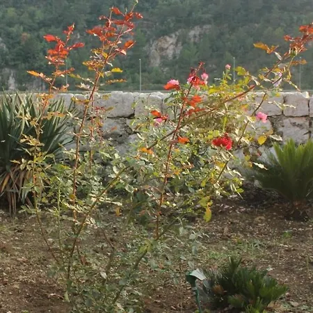 Seaside House Mokosica, Dubrovnik - 8584 * Мокошица